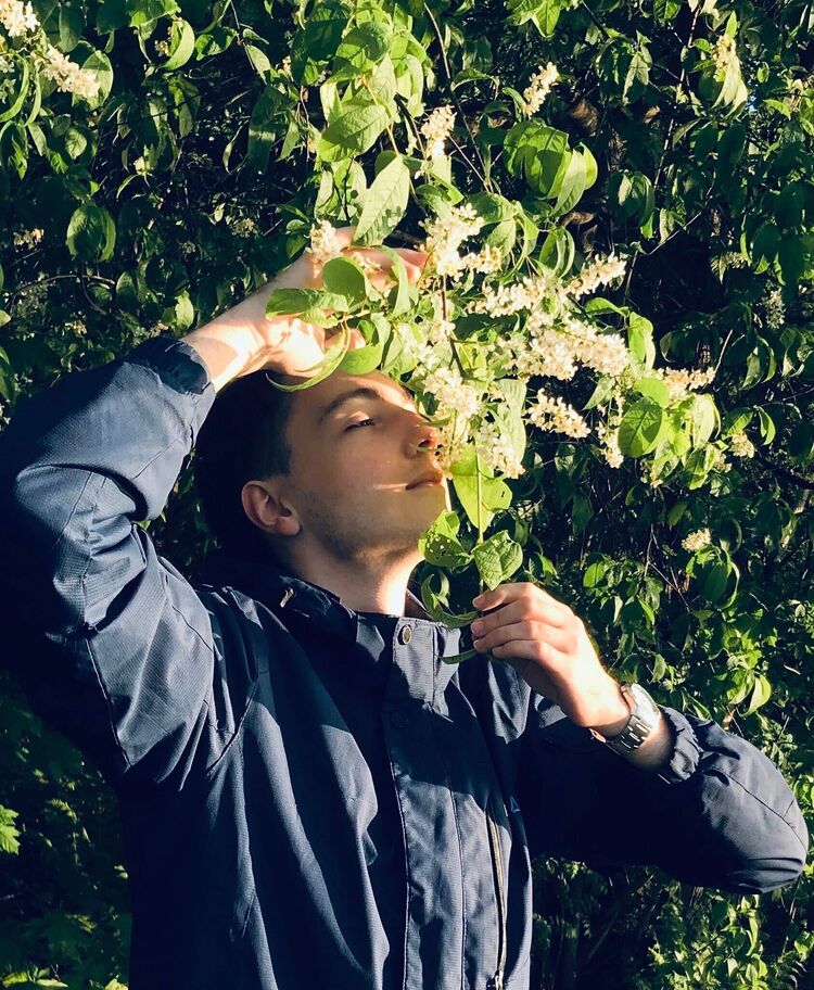  30645783  , 22 ,    -