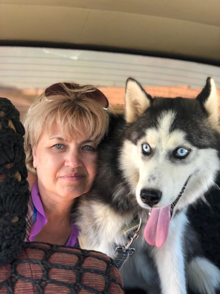 ���� 18321383 ������� ����, 60 ���, ���� ���������� � �����-����������