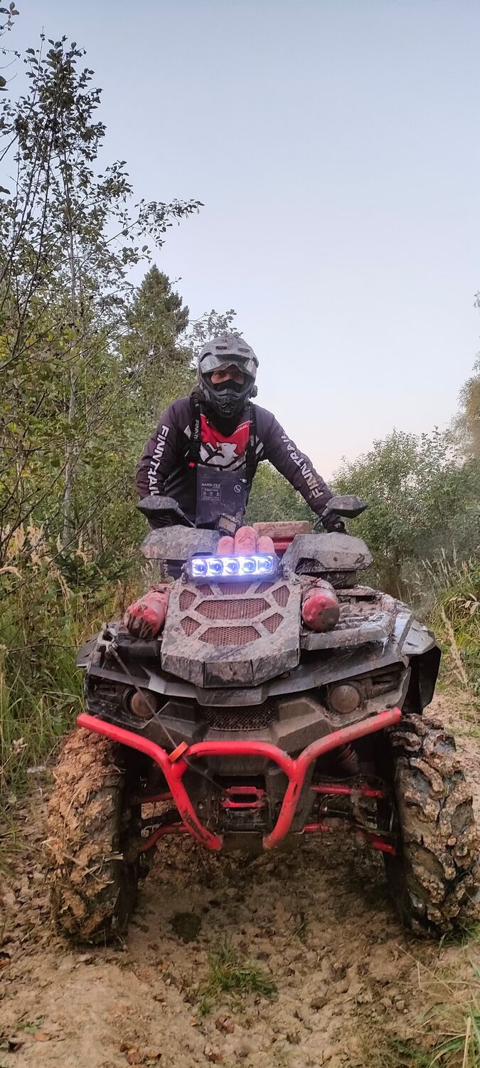  53180893  , 46 ,    