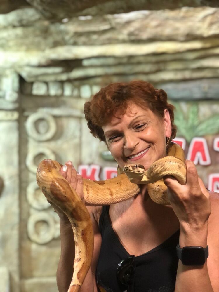 ���� 54829733 ������� ����, 56 ���, ���� ���������� � ���������