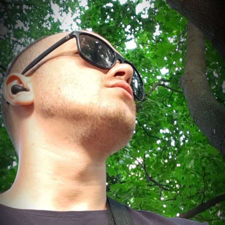 ���� 28751263 ������� ������, 31 ���, ���� ���������� � ���������������