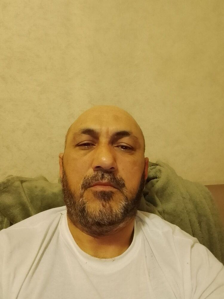 ���� 56253603 ������� Ziya, 47 ���, ���� ���������� � ������