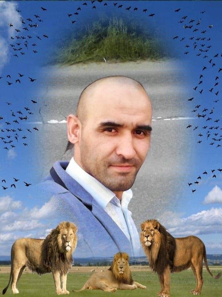  ,   , 43 ,  