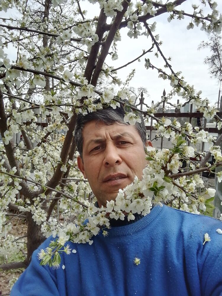 ���� 43398003 ������� ��������, 34 ����, ���� ���������� � ��������