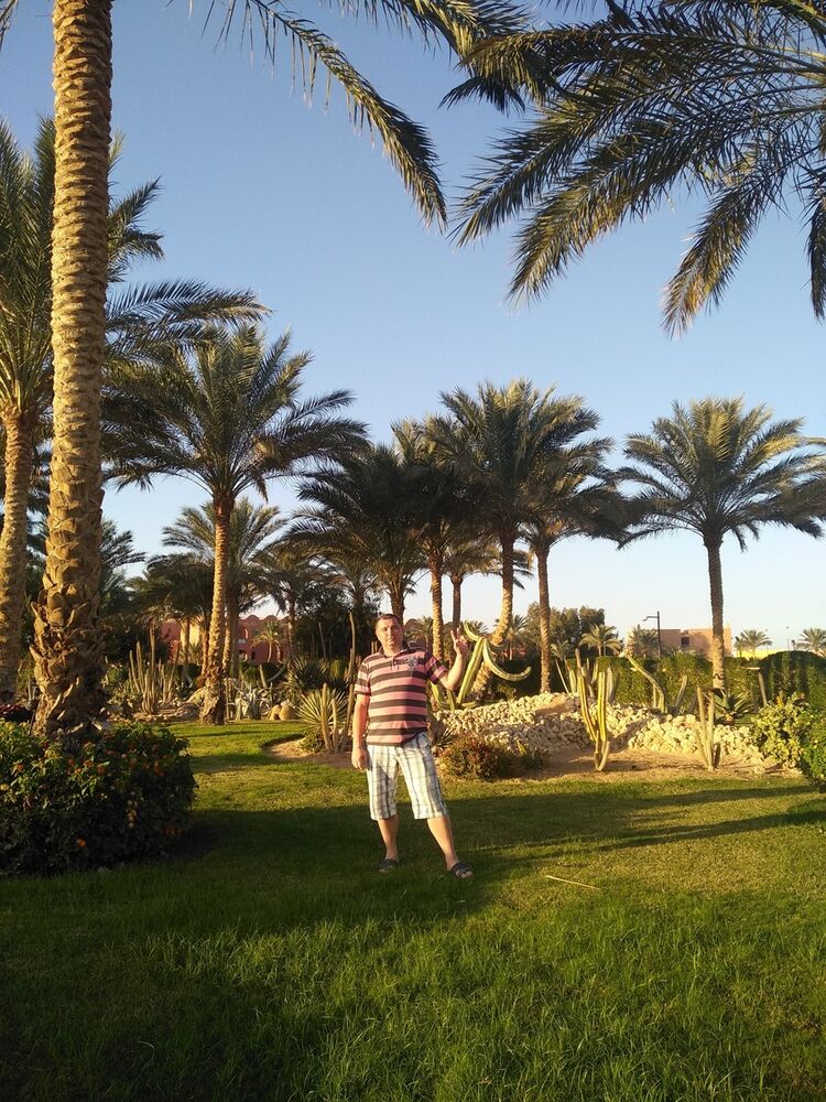 ���� 17269643 ������� ����, 42 ����, ���� ���������� � ������