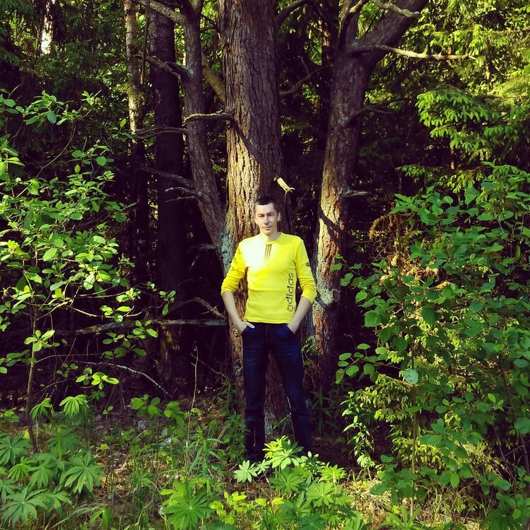 ���������� �����, ���� ������� �����, 44 ����, ������������ ��� ������, ����� � ���������, c�������� ���������