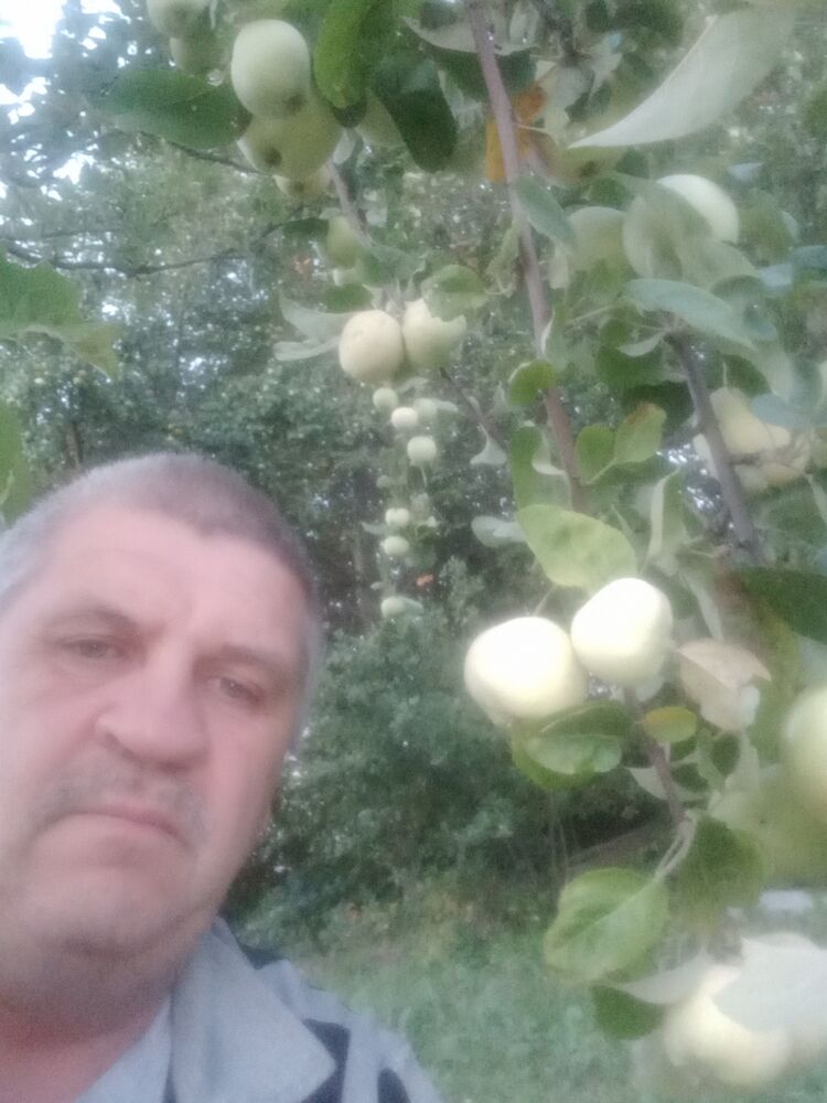  ,   , 59 ,   ,   