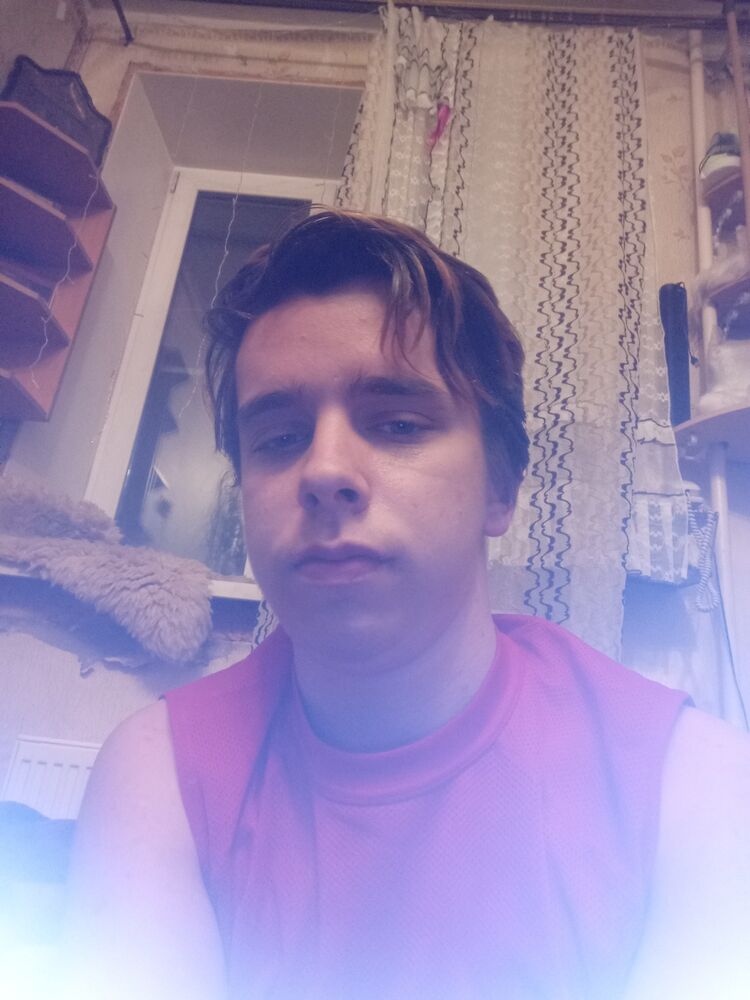  53831473  , 20 ,    -