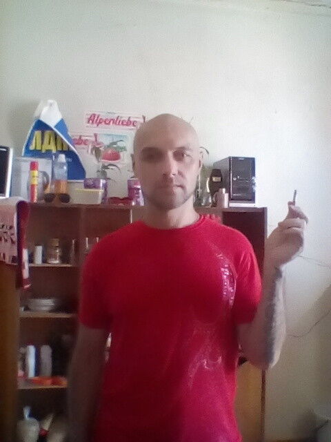  12920073  , 43 ,    