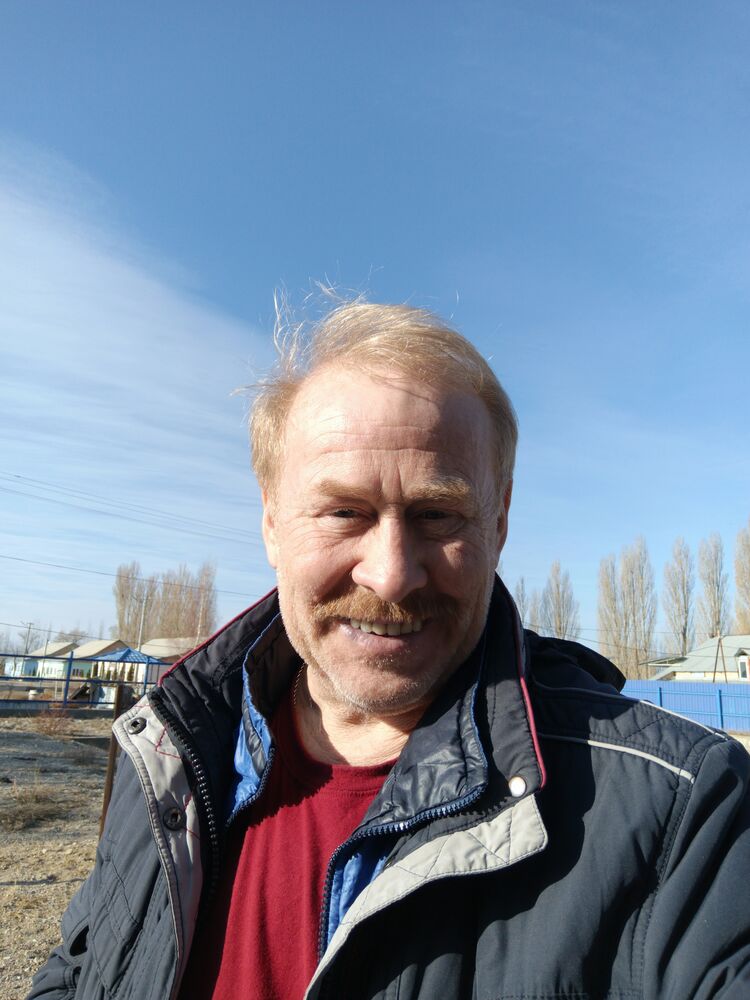 ���� 55609043 ������� ������, 50 ���, ���� ���������� � ���������