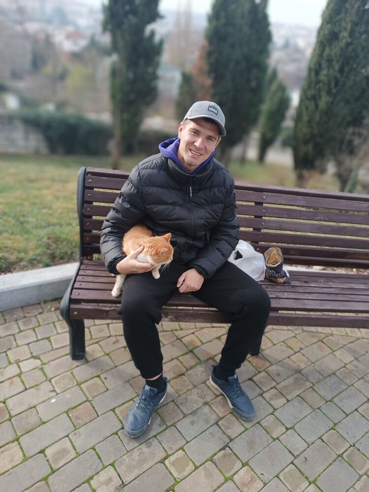 ���� 33481323 ������� ������, 34 ����, ���� ���������� � �����������