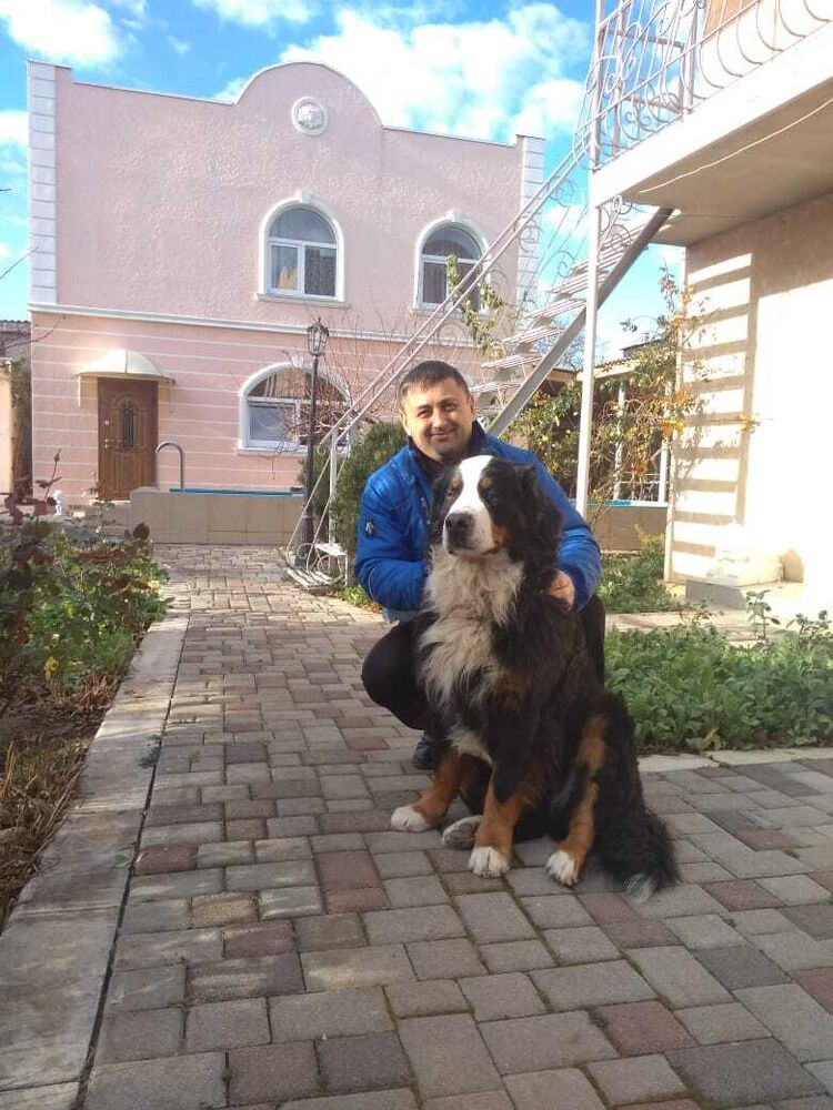 ���� 23085713 ������� ������, 44 ����, ���� ���������� � �������