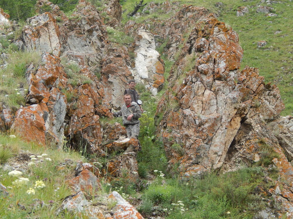 ���������� �����������, ���� ������� �������, 39 ���, ������������ ��� ������, ����� � ���������, c�������� ���������