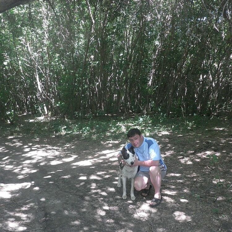 ���������� ���������, ���� ������� �������, 44 ����, ������������ ��� ������, ����� � ���������, c�������� ���������