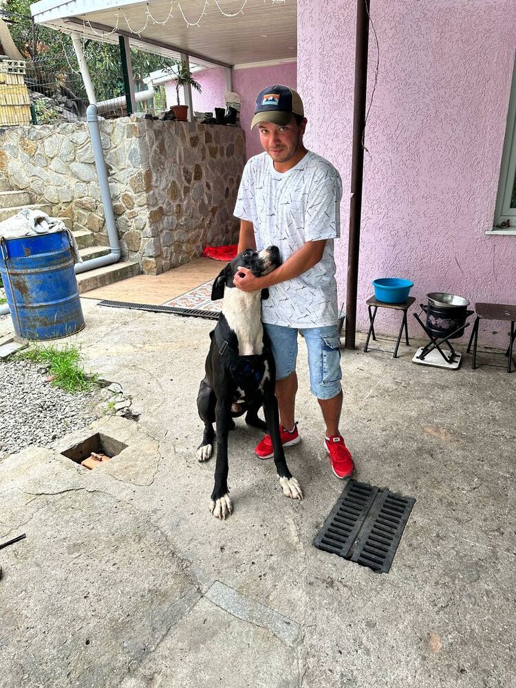  36940113  , 28 ,    