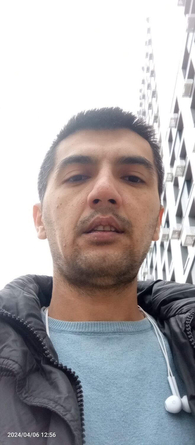  43835533  , 33 ,    