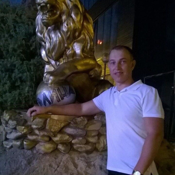 ���� 13936633 ������� ����, 41 ���, ���� ���������� � ����������