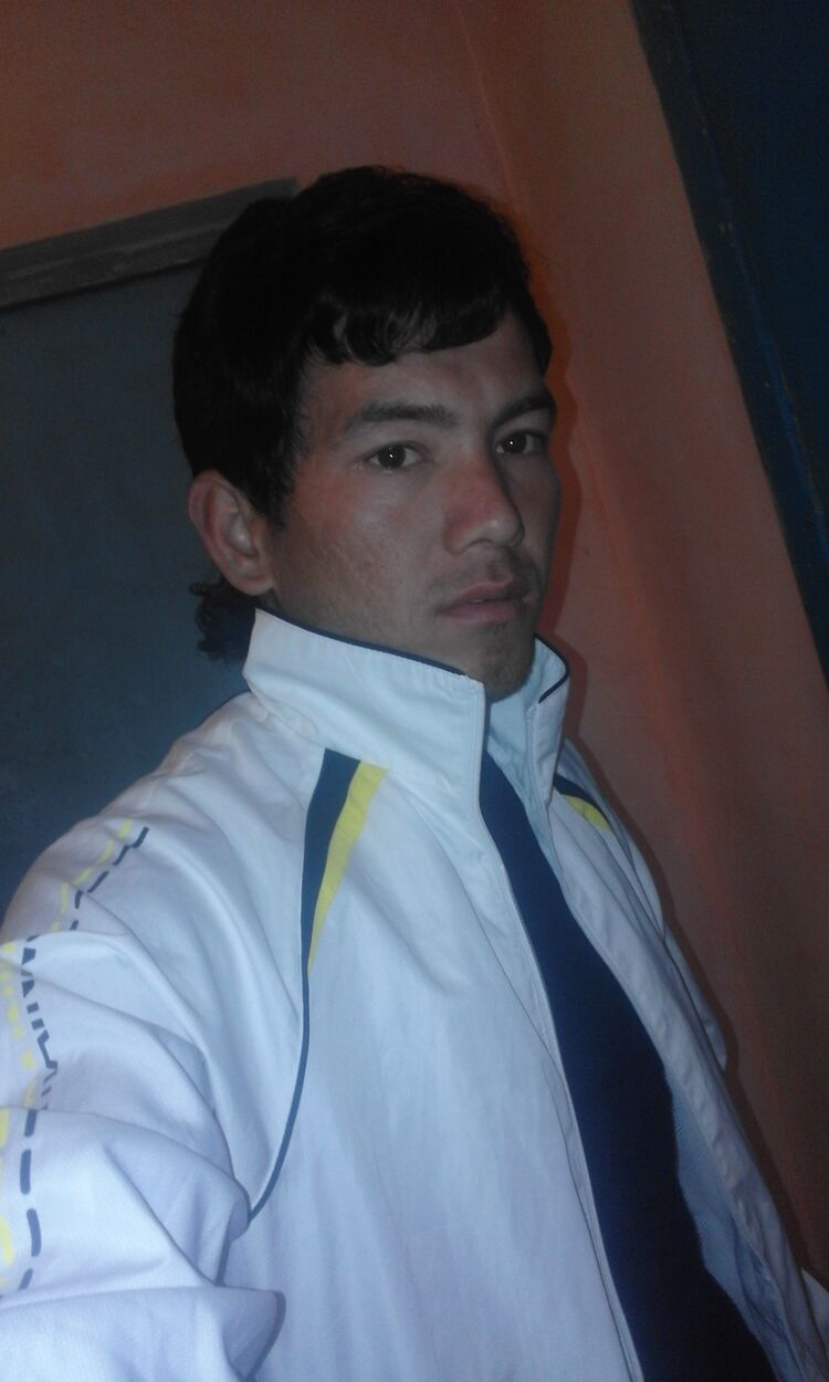  33317273  , 31 ,    