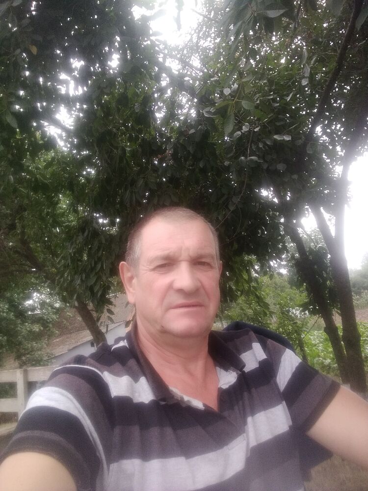 37384813  , 58 ,    