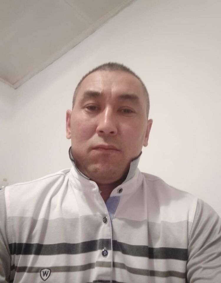 43128243  , 44 ,    