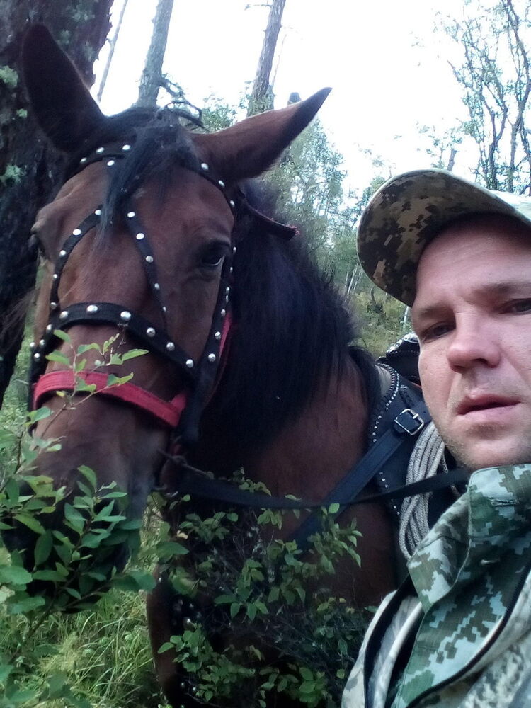 ���������� �������, ���� ������� ������, 41 ���, ������������ ��� ������, ����� � ���������, c�������� ���������