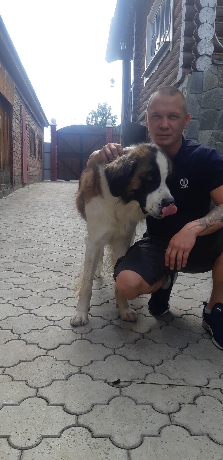  ,   Dima, 40 ,   ,   , c , 