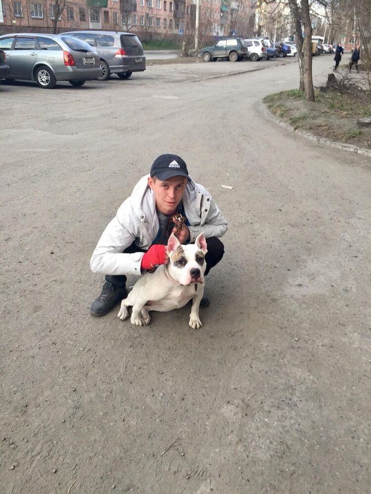 ���������� �����, ���� ������� �����, 31 ���, ������������ ��� ������, ����� � ���������, c�������� ���������