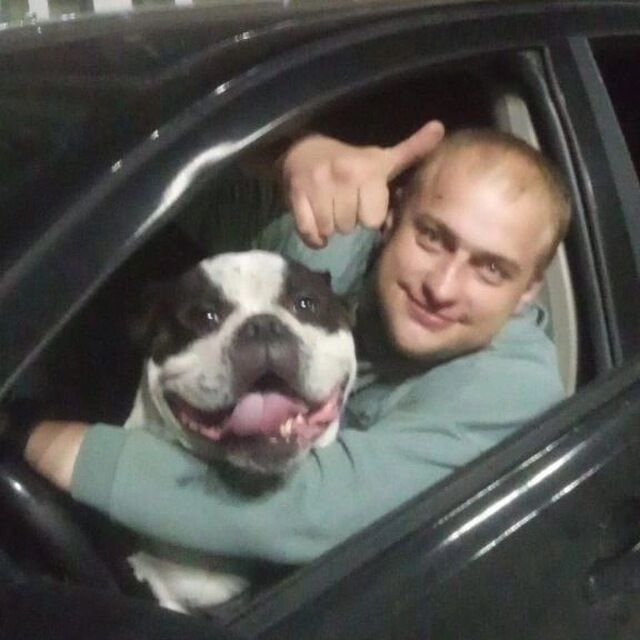 ���������� ���������, ���� ������� ����, 37 ���, ������������ ��� ������, ����� � ���������