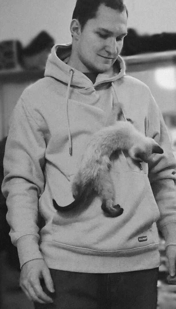 ���������� ������, ���� ������� ��������, 27 ���, ������������ ��� ������, ����� � ���������, c�������� ���������