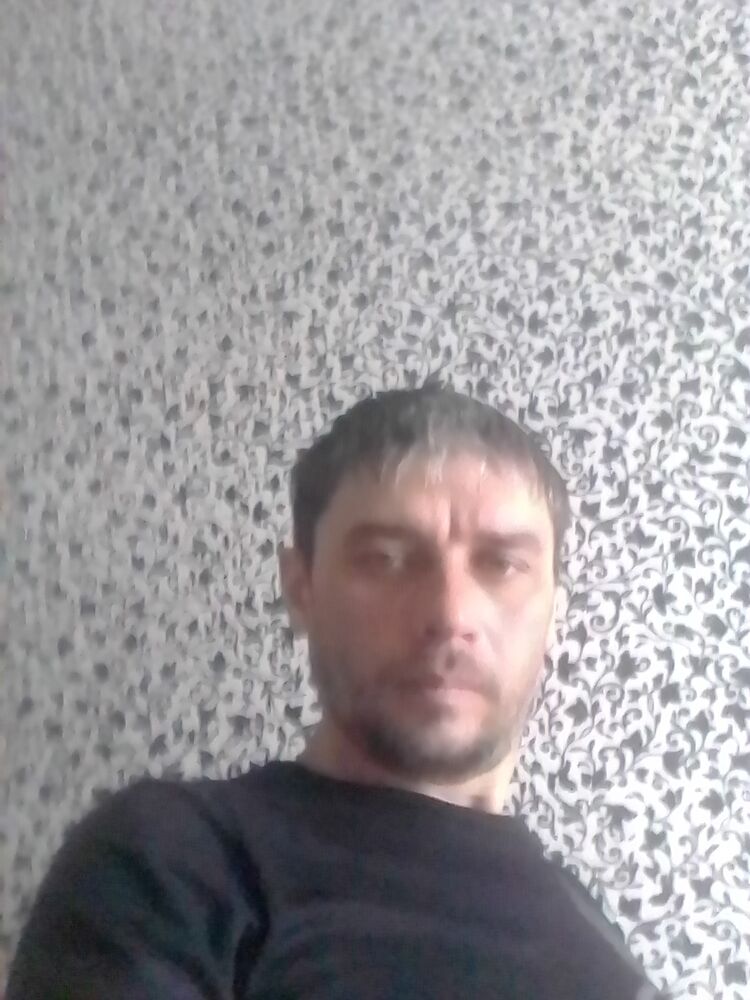  33247753  , 43 ,    