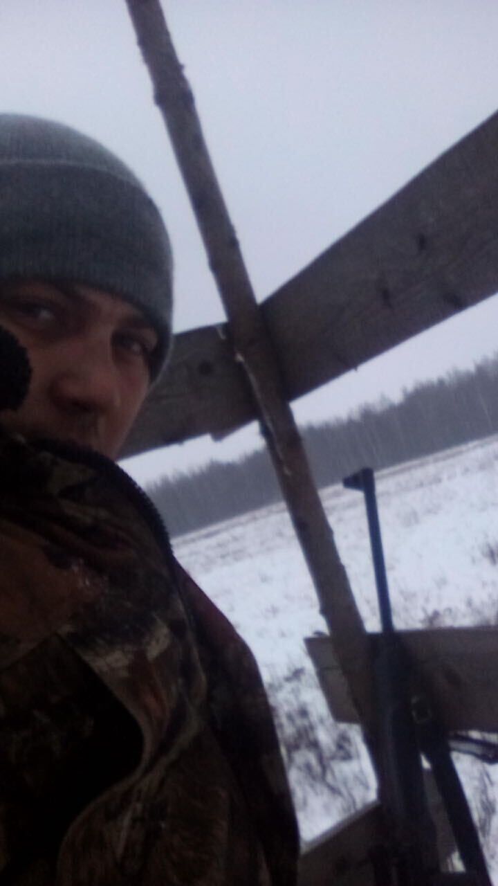 ���� 54350443 ������� ����, 37 ���, ���� ���������� � ���������