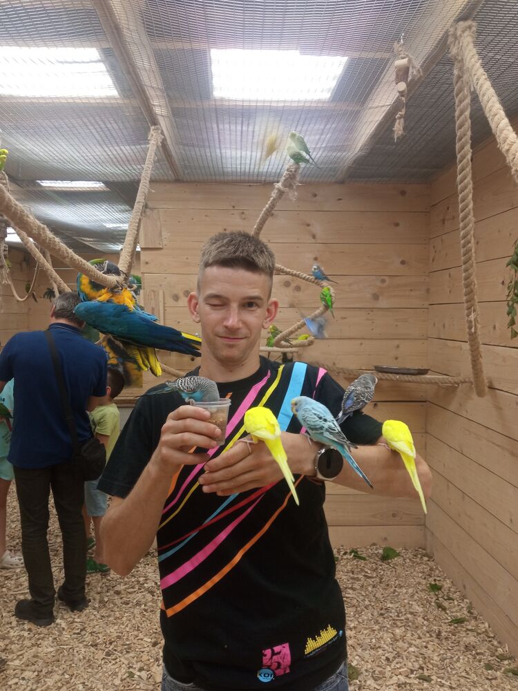 ���������� �����, ���� ������� �����, 28 ���, ������������ ��� ������, ����� � ���������, c�������� ���������, ���������