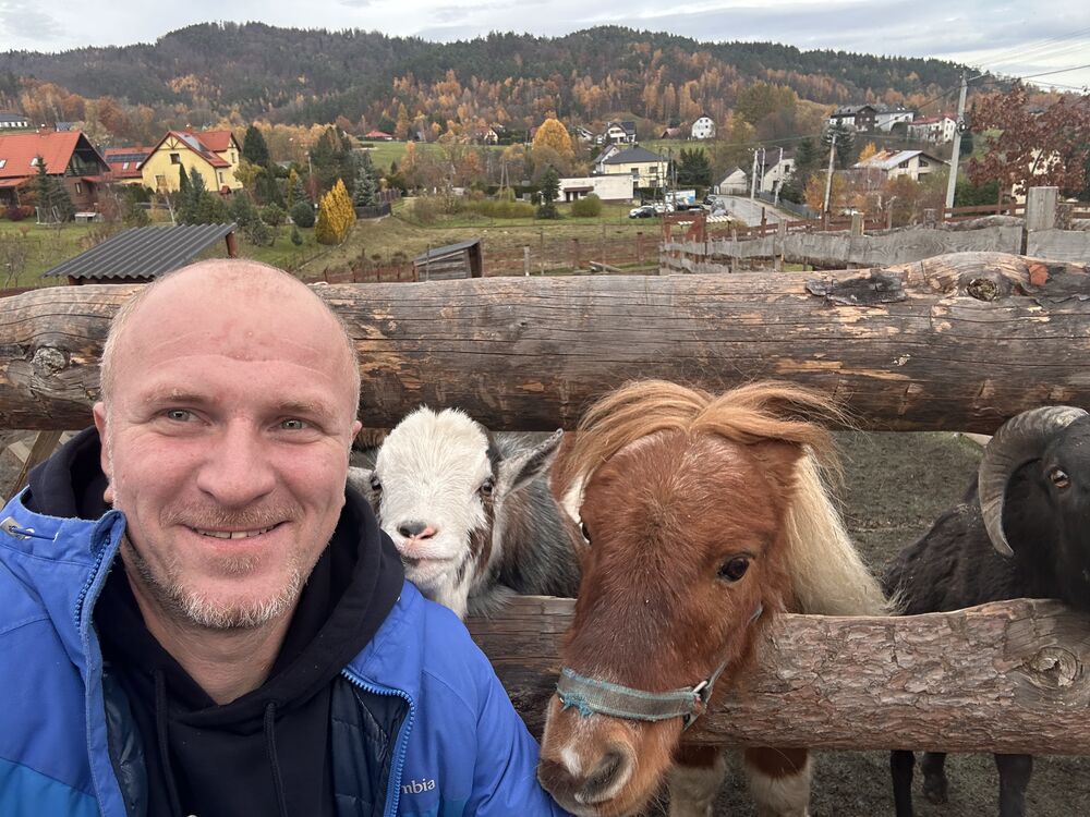 ���� 55113953 ������� ����, 36 ���, ���� ���������� � ������