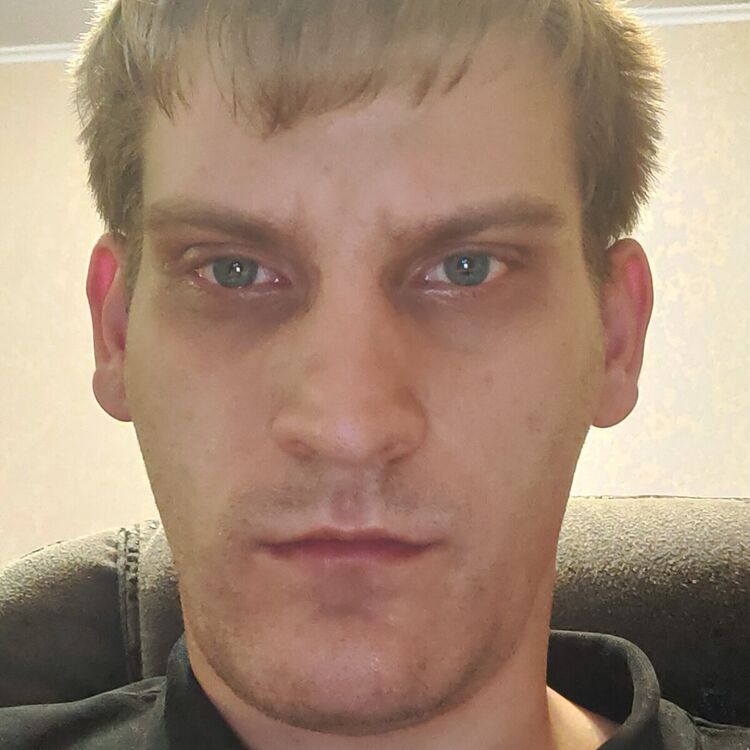 ���� 22306693 ������� Deviden, 31 ���, ���� ���������� � ����������