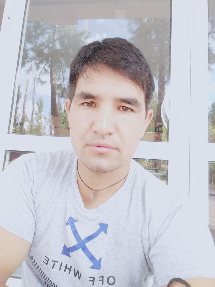  20666293  , 43 ,    
