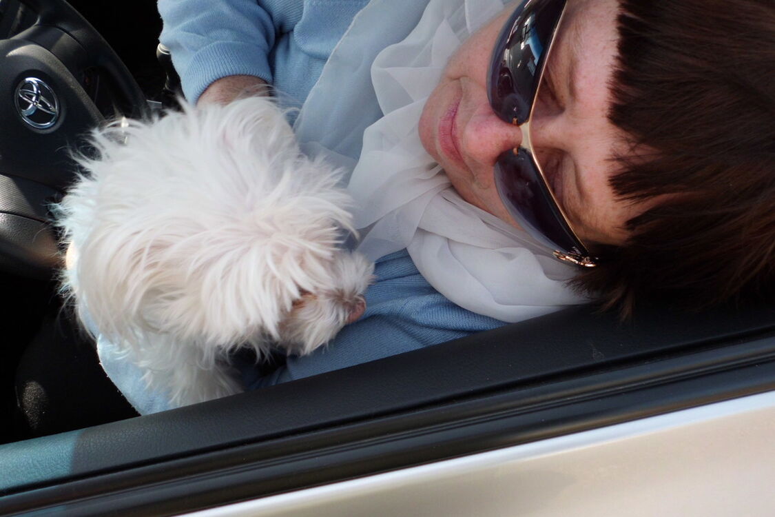 ���������� �����, ���� ������� �������, 77 ���, ������������ 