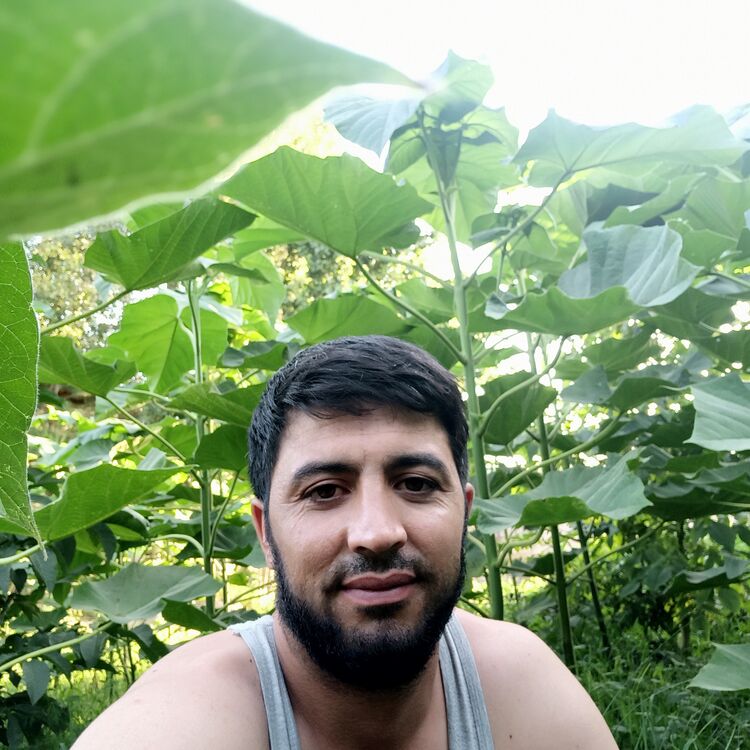 ���������� �����-���������, ���� ������� Abram, 37 ���, ������������ ��� ������, ����� � ���������