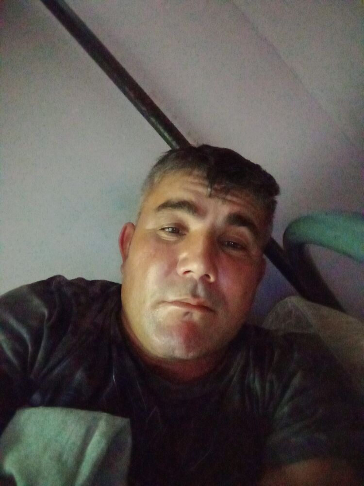  38130883  , 44 ,    