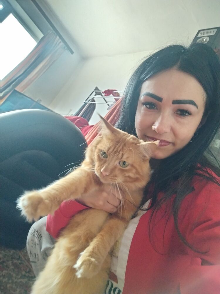 ���� 56298783 ������� ����, 31 ���, ���� ���������� � ����