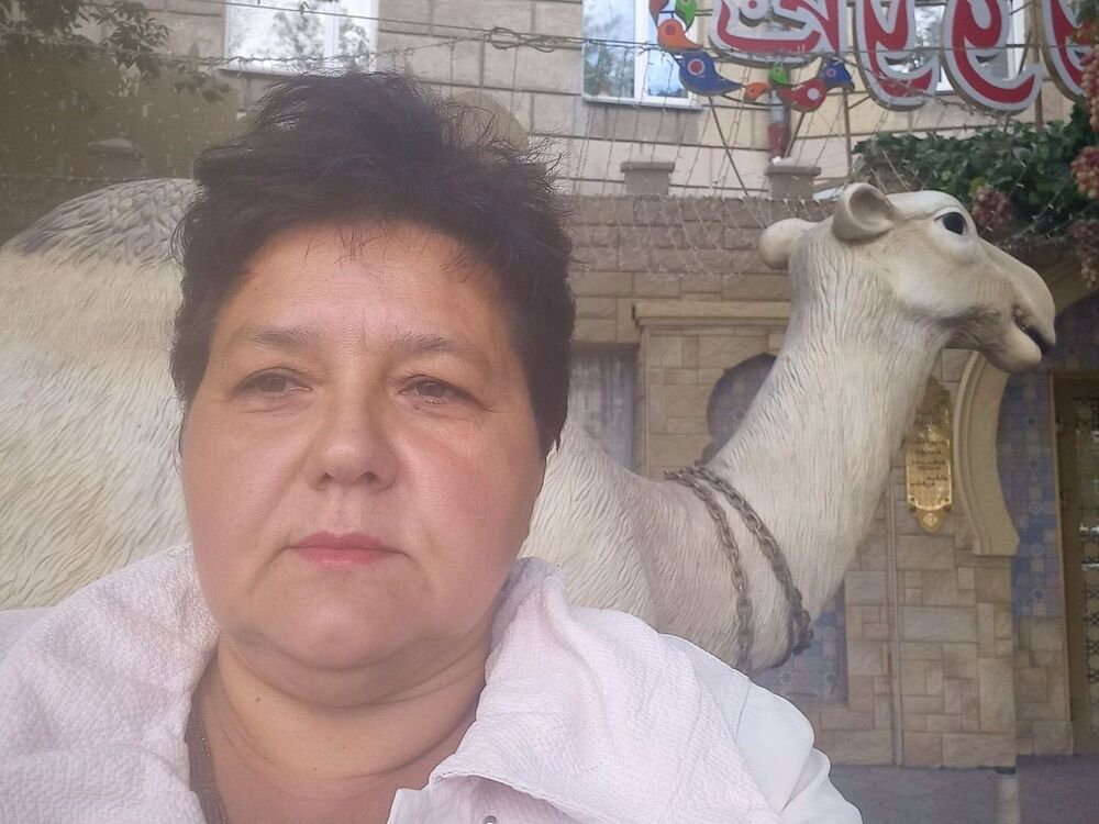 ���� 56163163 ������� �������, 56 ���, ���� ���������� � �������������