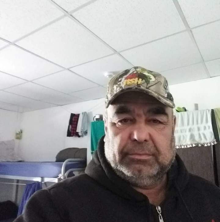  33777203  , 56 ,    