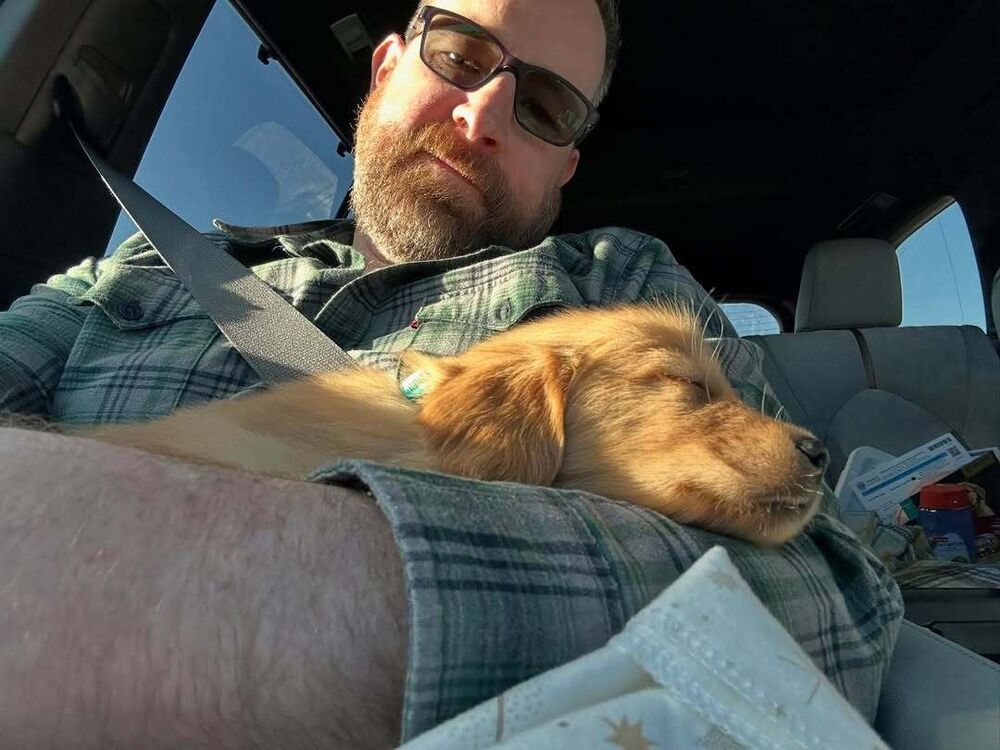 ���� 51337143 ������� ������, 42 ����, ���� ���������� � �����-����������