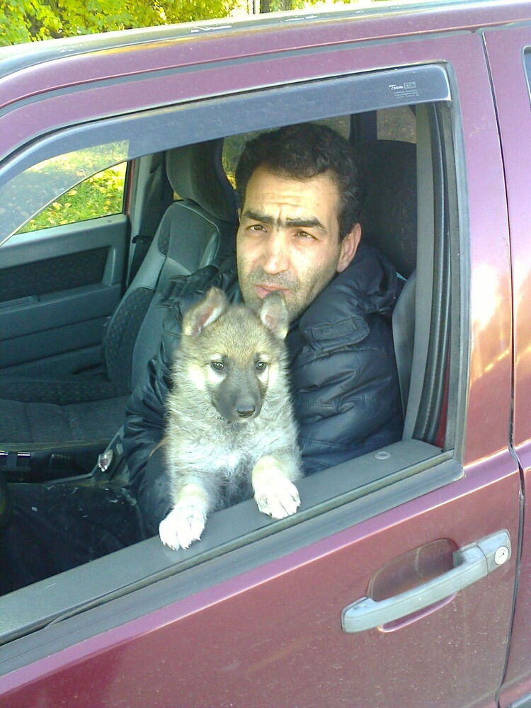  ,   , 47 ,   ,   , c , 