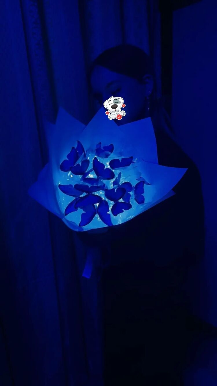  41414323  , 29 ,    