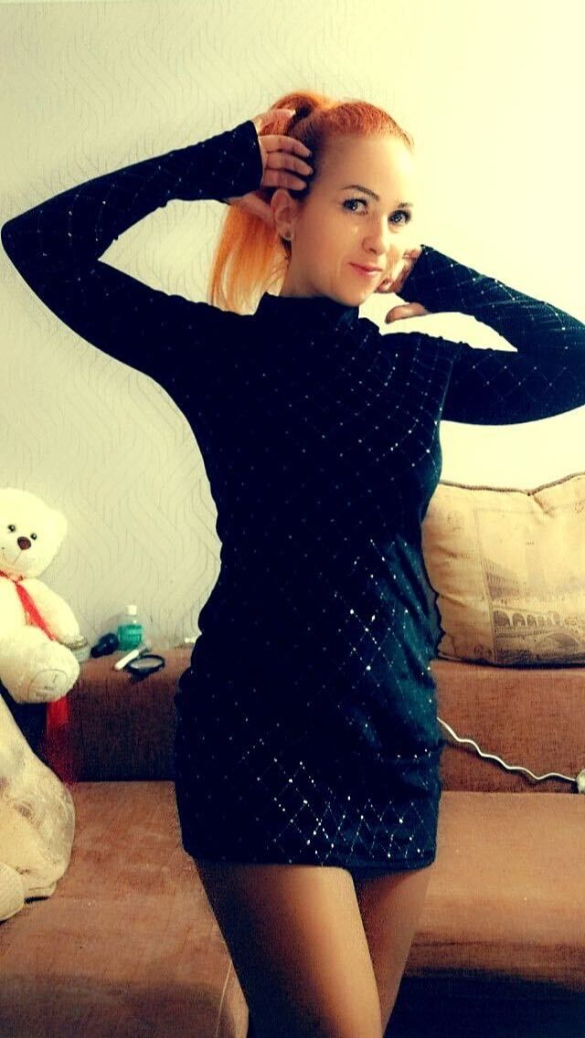  53951533  , 38 ,    -