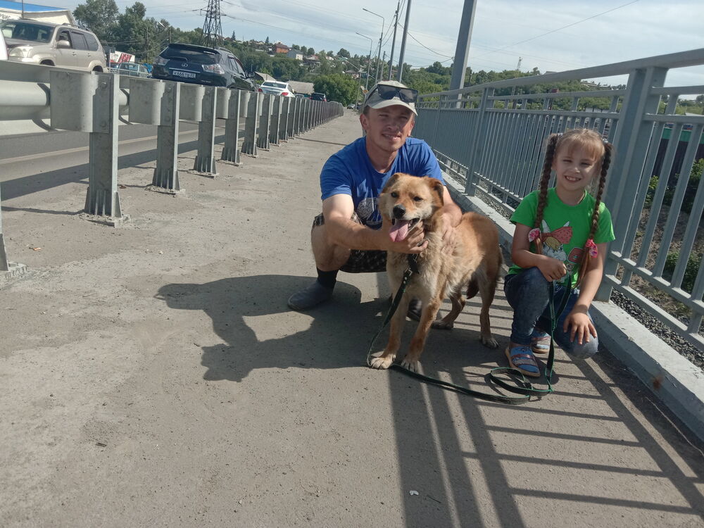 ���������� �������, ���� ������� ���������, 40 ���, ������������ ��� ������, ����� � ���������, c�������� ���������, ���������