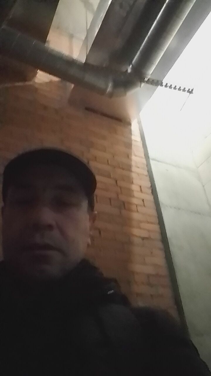 ���� 38343263 ������� �������, 52 ����, ���� ���������� � ������