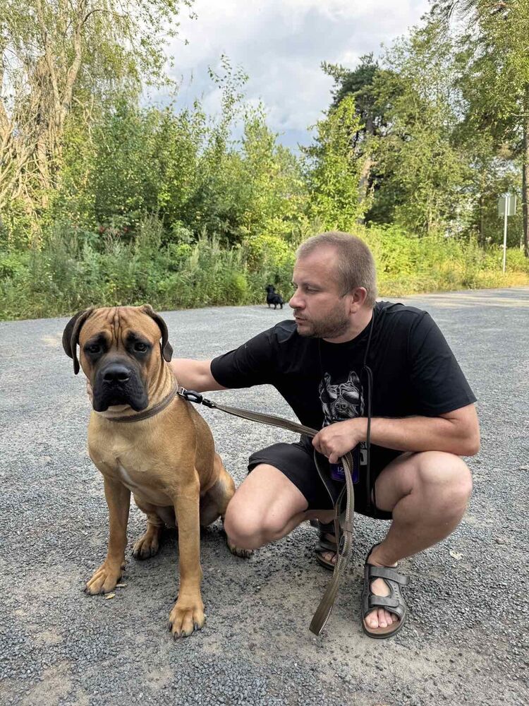 ���� 55742653 ������� ������, 40 ���, ���� ���������� � ��������