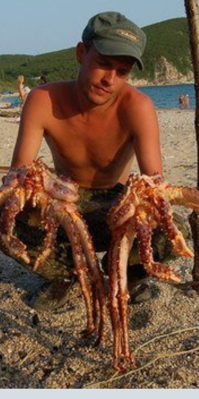 ���� 53399723 ������� �������, 49 ���, ���� ���������� � ����������