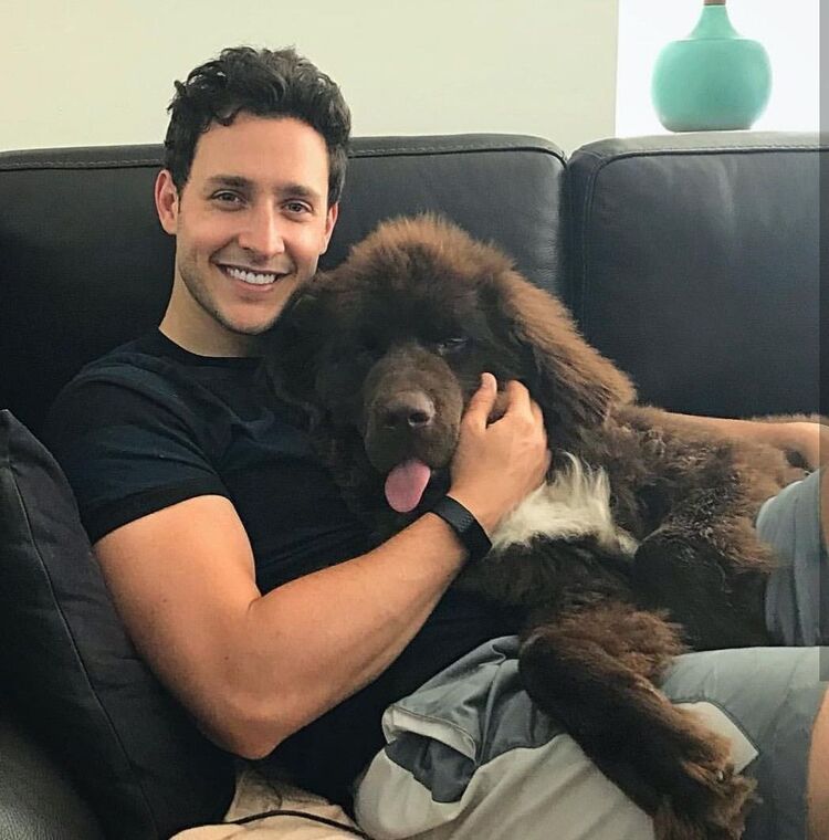 ���������� ������, ���� ������� Sash, 30 ���, ������������ ��� ������, ����� � ���������, c�������� ���������, ���������